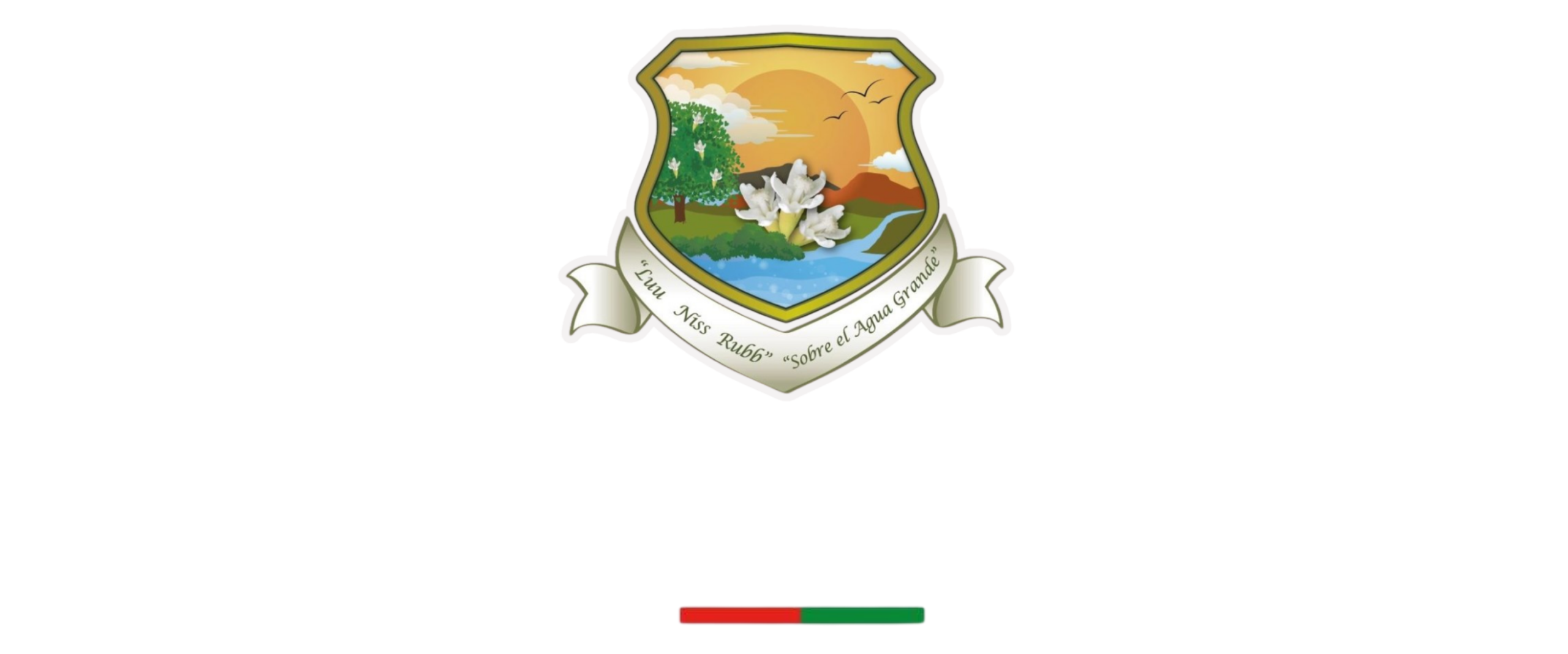 Identidad gráfica del Municipio de San Andrés Huayapam